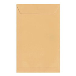 SOBRE BOLSA 1/2 CARTA MANILA 1 PZ LUX