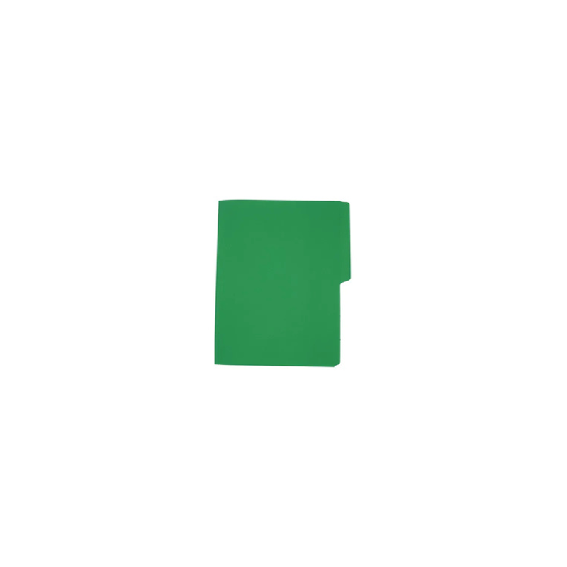 FOLDER CARTA VERDE BANDERA 1 PZ APSA
